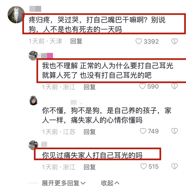 网红狗狗“豆豆”因癌症离世，主人狂扇嘴巴引发热议