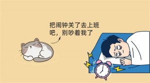 7种适合懒人养的猫咪