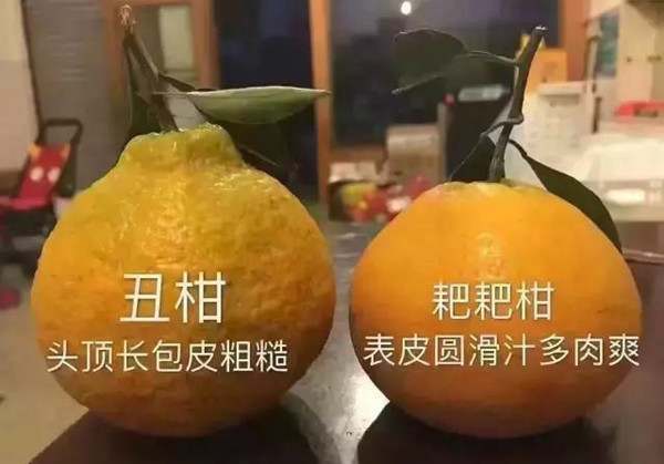 丑橘和粑粑柑有什么区别