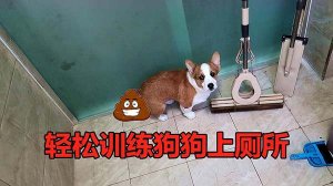 怎么训练幼犬大小便？