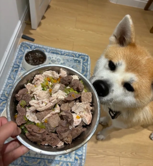 狗狗毛发干枯？吃这10种美毛食物！