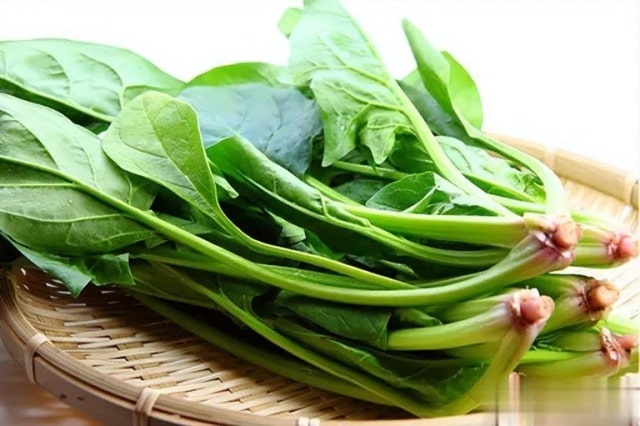 除了狗粮之外，狗狗也能吃的8种营养健康食物！