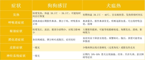狗狗感冒与犬瘟热的区别