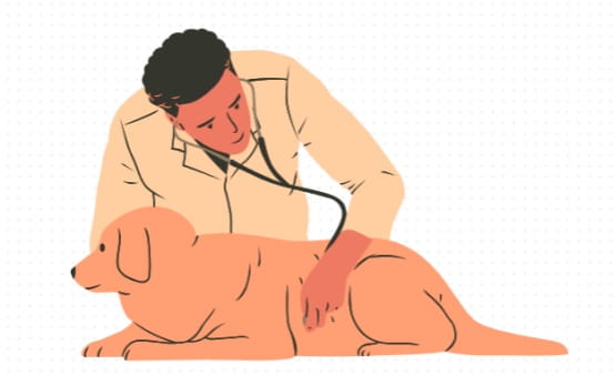 幼犬感冒了怎么办最简单的方法