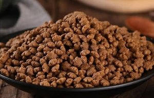 狗粮的干粮与湿粮区别