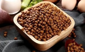 狗粮真的有营养吗