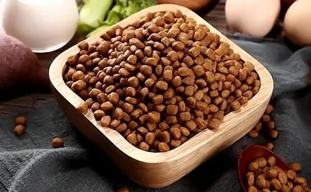 狗粮真的有营养吗