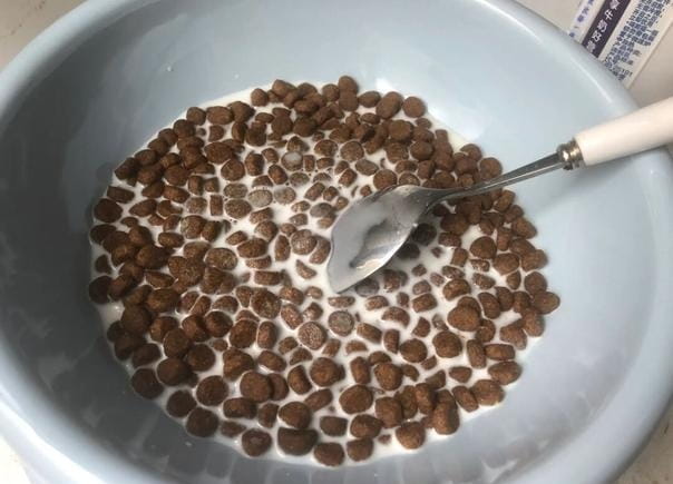 泡狗粮要泡多久才可以