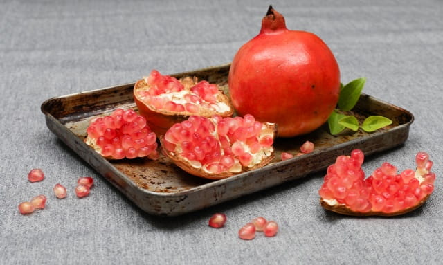 泰迪狗狗可以吃石榴吗