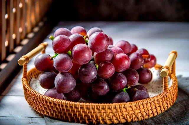 泰迪吃葡萄会怎样