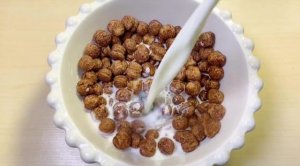 狗粮是否需要泡 小狗的狗粮要泡多久