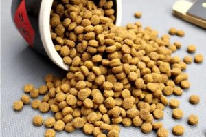 猫粮的保质期一般是多长时间？