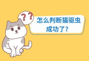 怎么判断猫驱虫成功了
