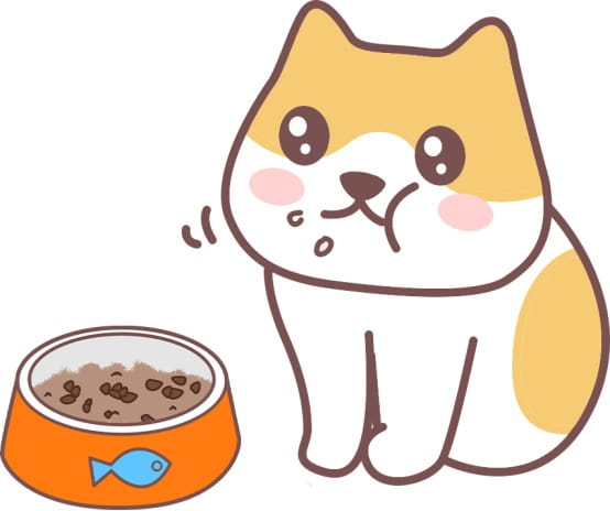 猫驱虫成功的信号