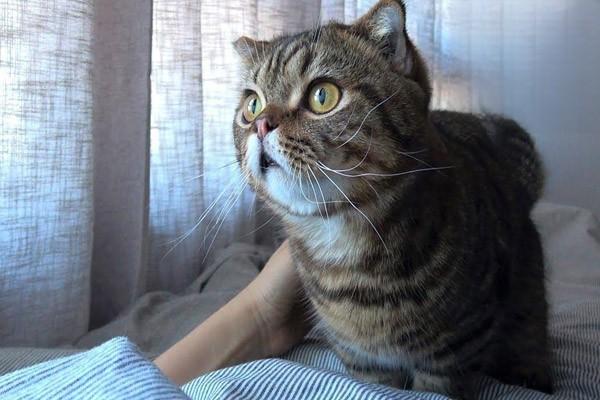 1611746355589232.jpg 50.jpg