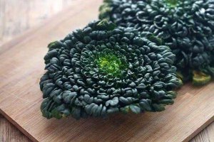 塌棵菜简介及生长习性