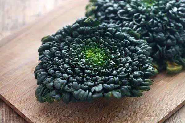 塌棵菜简介及生长习性