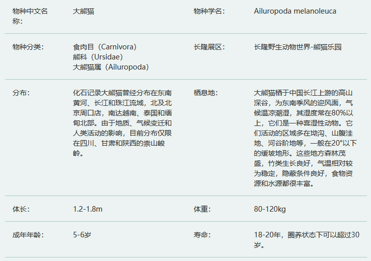 大熊猫简介及生活习性