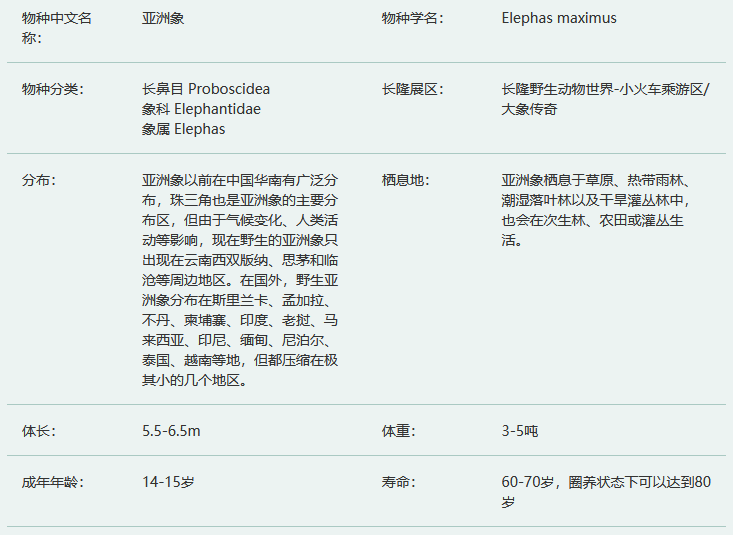 亚洲象简介及生活习性
