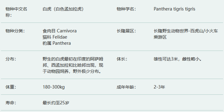 白虎简介及生活习性