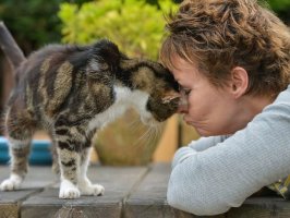 猫咪会不会认主人