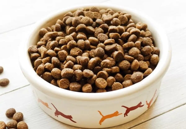 含木薯淀粉的猫粮/狗粮好吗？