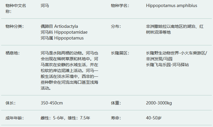 河马简介及生活习性