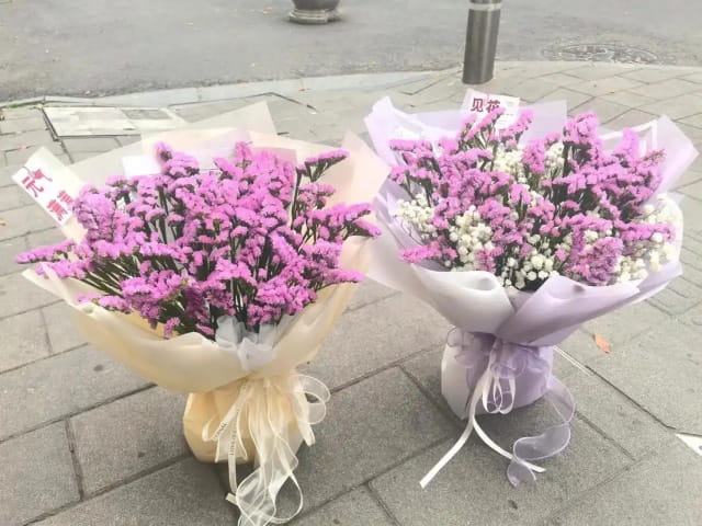 勿忘我的花语和传说