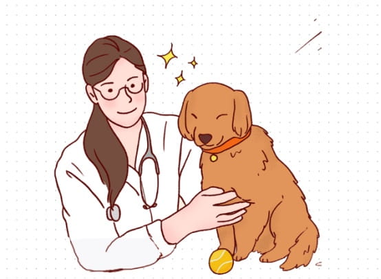 狗狗眼屎多怎么办？