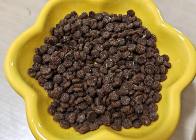 猫粮可以泡水吃吗