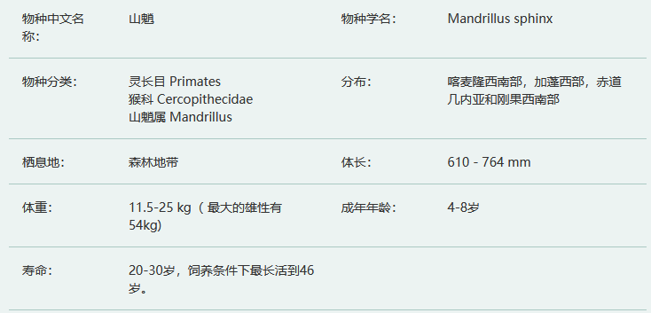山魈简介及生活习性