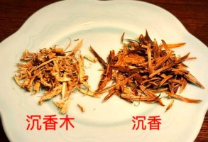 沉香与沉香木的区别
