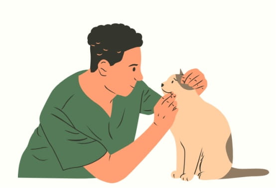 猫咪单眼流泪怎么办