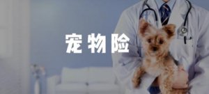 宠物险值得买吗？深度分析及购买指南