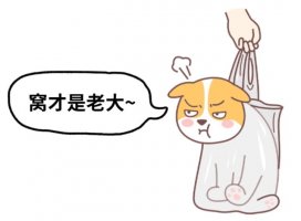 狗狗认为你比它地位低的表现