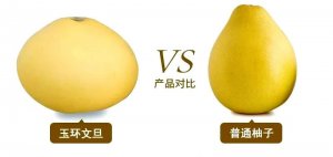 文旦和柚子的区别