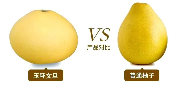 文旦和柚子的区别