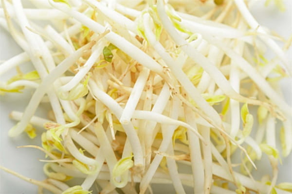蔬菜有哪些种类