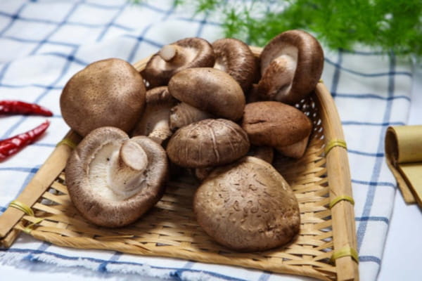 蔬菜有哪些种类
