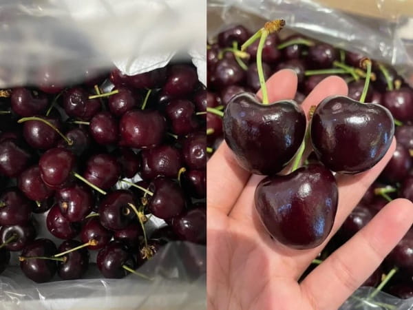 车厘子2J跟3J的区别